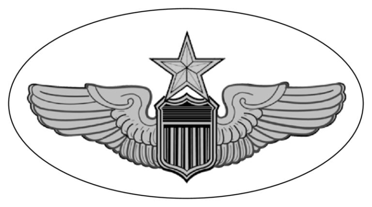 Aviation-Air Force Senior Pilot Wings-Oval - Topperz